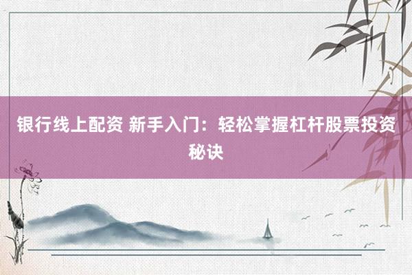 银行线上配资 新手入门：轻松掌握杠杆股票投资秘诀