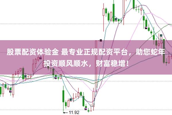 股票配资体验金 最专业正规配资平台，助您蛇年投资顺风顺水，财富稳增！