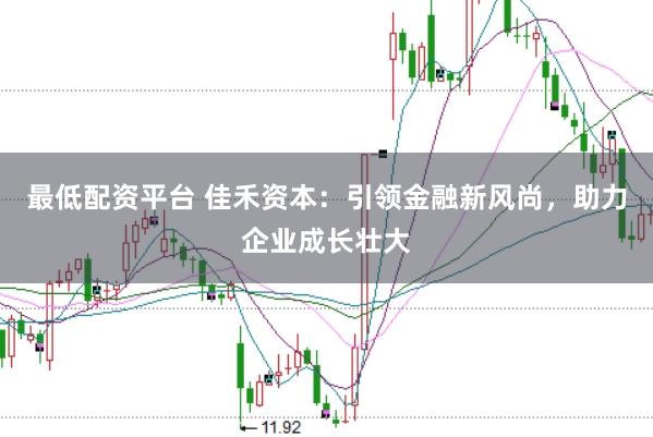 最低配资平台 佳禾资本：引领金融新风尚，助力企业成长壮大