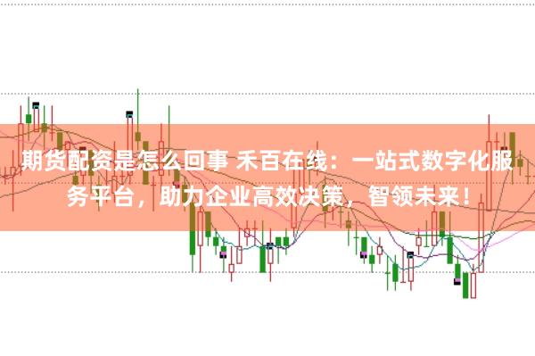 期货配资是怎么回事 禾百在线：一站式数字化服务平台，助力企业高效决策，智领未来！