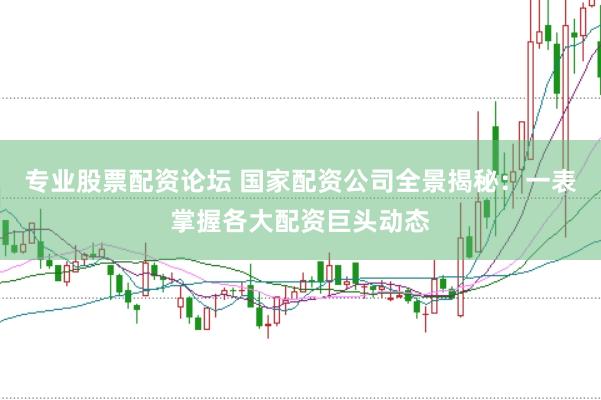 专业股票配资论坛 国家配资公司全景揭秘：一表掌握各大配资巨头动态