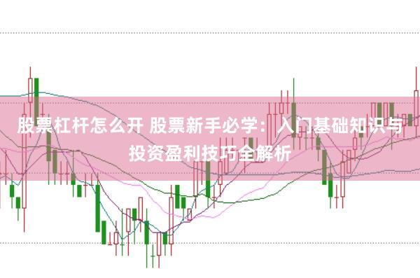 股票杠杆怎么开 股票新手必学：入门基础知识与投资盈利技巧全解析