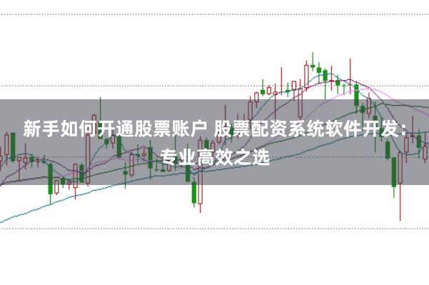 新手如何开通股票账户 股票配资系统软件开发：专业高效之选