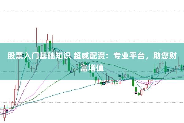 股票入门基础知识 超威配资：专业平台，助您财富增值