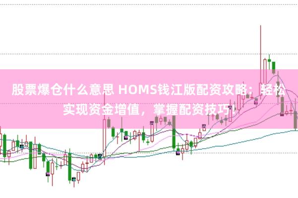 股票爆仓什么意思 HOMS钱江版配资攻略：轻松实现资金增值，掌握配资技巧！