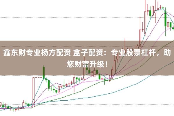 鑫东财专业杨方配资 盒子配资：专业股票杠杆，助您财富升级！
