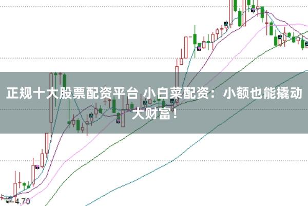 正规十大股票配资平台 小白菜配资：小额也能撬动大财富！