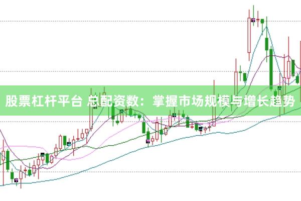 股票杠杆平台 总配资数：掌握市场规模与增长趋势