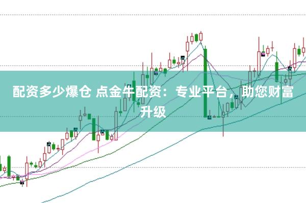 配资多少爆仓 点金牛配资：专业平台，助您财富升级