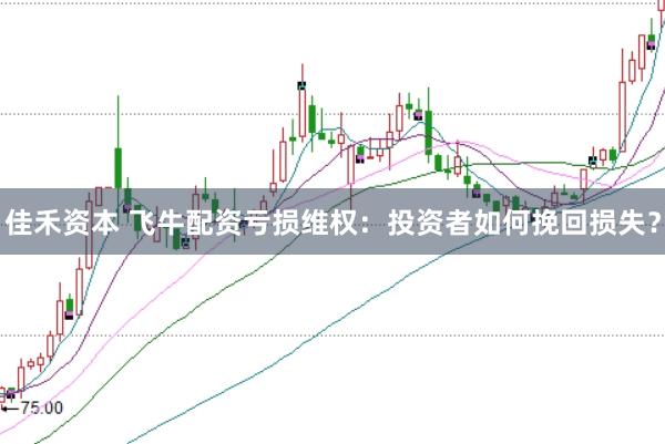 佳禾资本 飞牛配资亏损维权：投资者如何挽回损失？