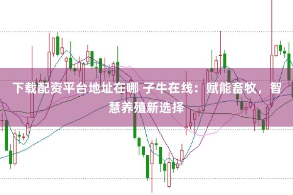 下载配资平台地址在哪 子牛在线：赋能畜牧，智慧养殖新选择