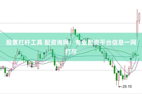 股票杠杆工具 配资询网：专业配资平台信息一网打尽