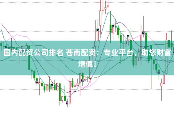 国内配资公司排名 苍南配资：专业平台，助您财富增值！
