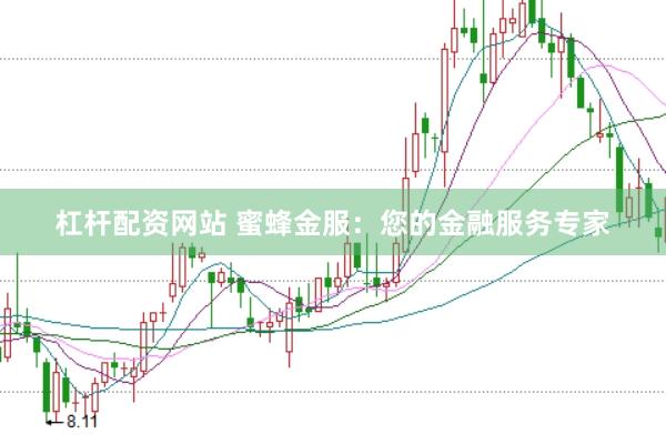 杠杆配资网站 蜜蜂金服：您的金融服务专家