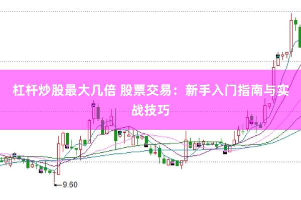 杠杆炒股最大几倍 股票交易：新手入门指南与实战技巧