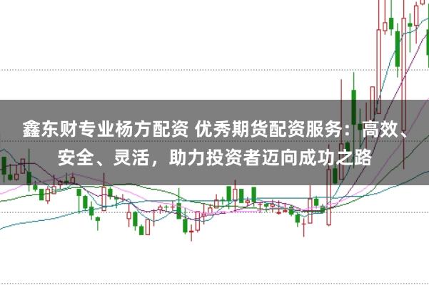 鑫东财专业杨方配资 优秀期货配资服务：高效、安全、灵活，助力投资者迈向成功之路