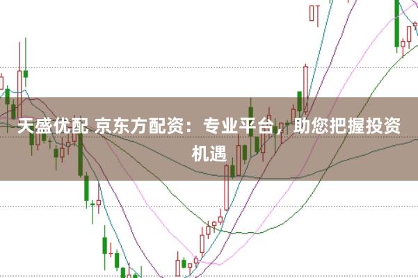 天盛优配 京东方配资:专业平台,助您把握投资机遇