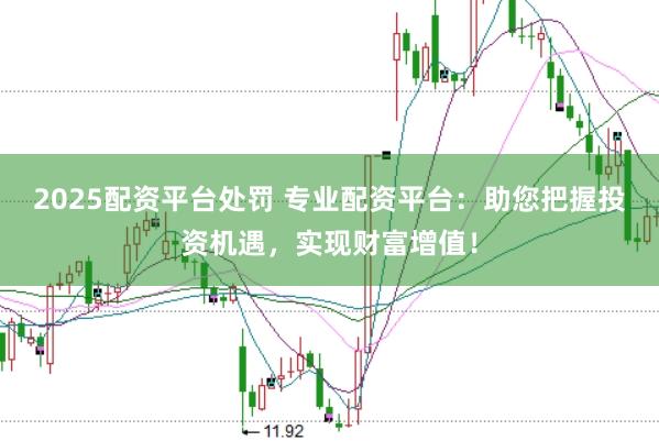 2025配资平台处罚 专业配资平台:助您把握投资机遇,实现财富增值!