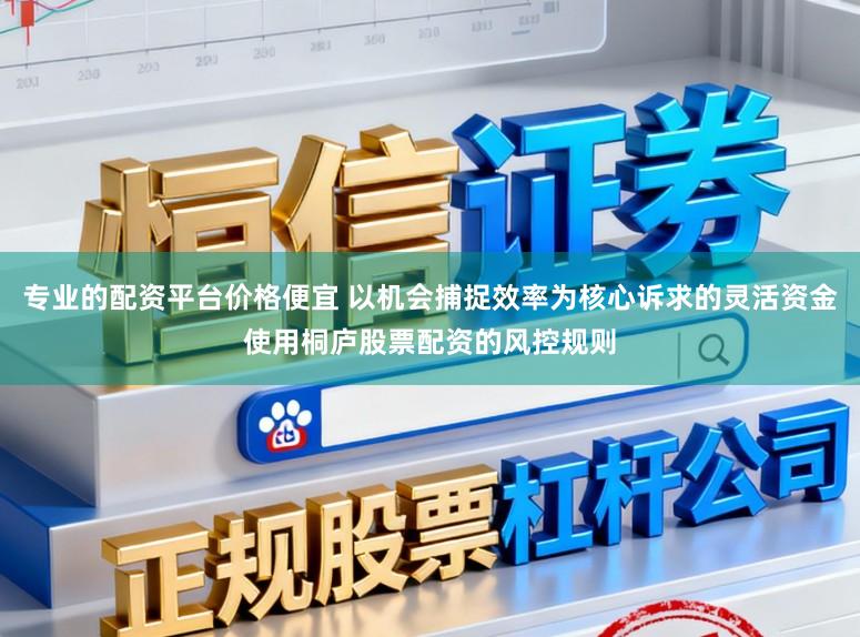 专业的配资平台价格便宜 以机会捕捉效率为核心诉求的灵活资金使用桐庐股票配资的风控规则