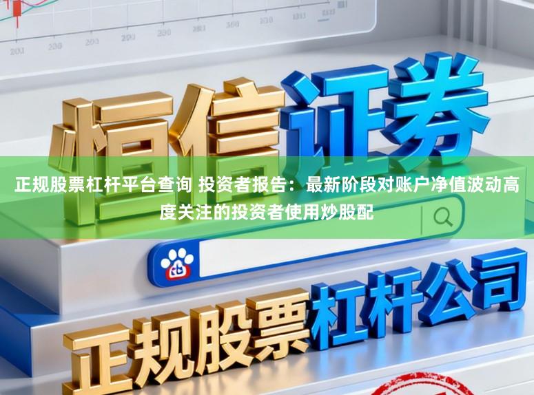 正规股票杠杆平台查询 投资者报告：最新阶段对账户净值波动高度关注的投资者使用炒股配