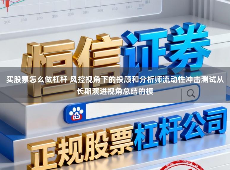买股票怎么做杠杆 风控视角下的投顾和分析师流动性冲击测试从长期演进视角总结的模